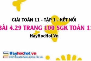 Giải bài 4.29 trang 100 Toán 11 tập 1 SGK Kết nối tri thức